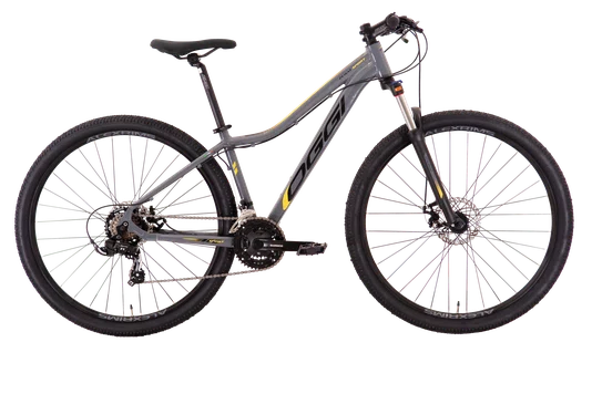 BIC OGGI 29 FLOAT SPORT 21V GRAF/AMR/PTO T15,5 BIC OGGI 29 FLOAT SPORT 21V GRAF/AMR/PTO T15,5