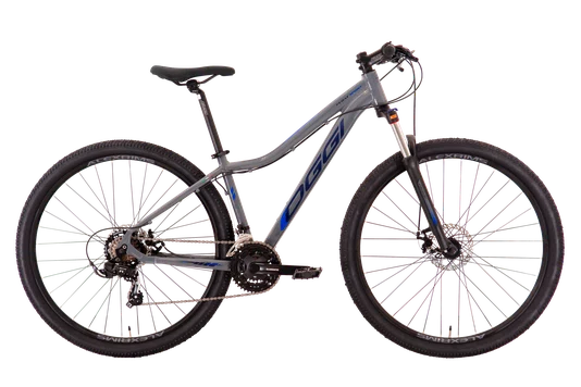 BIC OGGI 29 FLOAT SPORT 21V GRAF/AZ/AZ T15,5