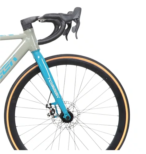 BIC TOSEEK 700 CHESTER 3.0 16V CINZ/VD L