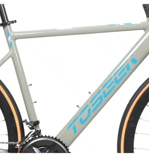 BIC TOSEEK 700 CHESTER 3.0 16V CINZ/VD L