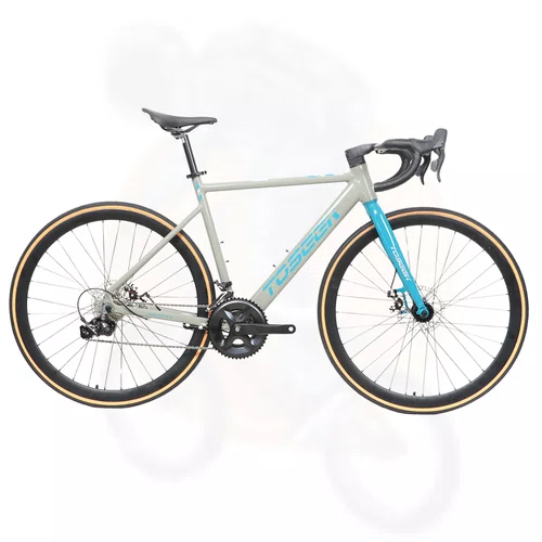 BIC TOSEEK 700 CHESTER 3.0 16V CINZ/VD L