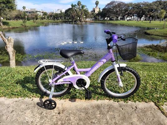 Bicicleta aro 16 Athor Bliss Lilas