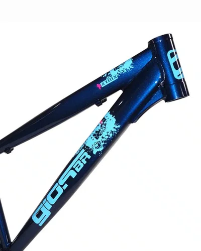 QUADRO 26 GIOS 4TRIX AZUL/ROSA