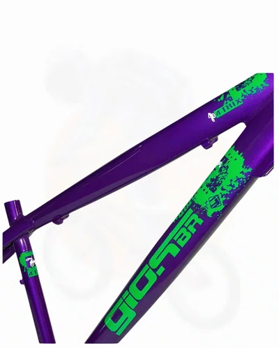 QUADRO 26 GIOS 4TRIX ROXO/VERDE
