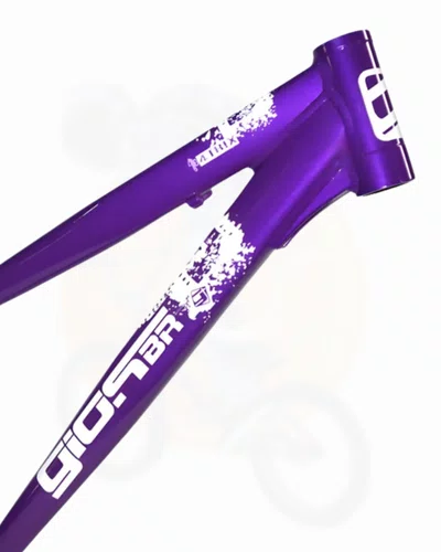 QUADRO 26 GIOS 4TRIX ROXO/BRANCO