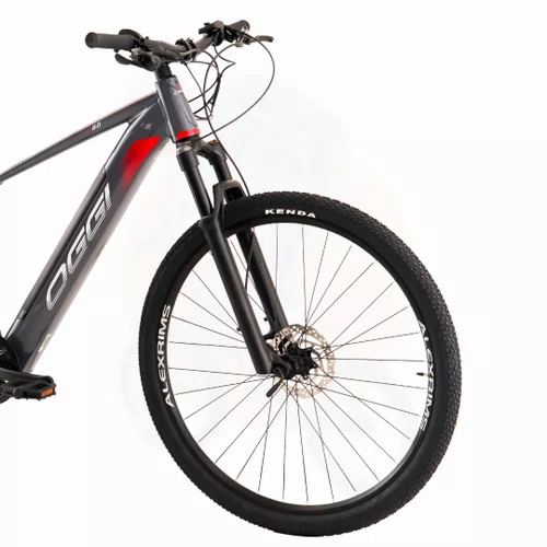 Bicicleta Eletrica Aro 29 Big Wheel 8.0 Acera 8v Cinza/Vermelho L