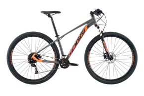 BIC ARO 29 OGGI BIG WHEEL 7.0 2X9 Alivio Graf/Laran/Pret T17