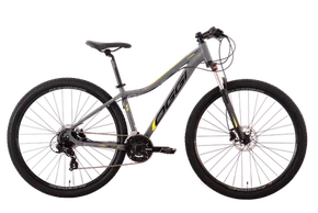 BIC OGGI 29 FLOAT HDS 24V GRAF/SLIME T17