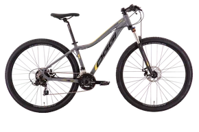 BIC OGGI 29 FLOAT SPORT 21V GRAF/AMR/PTO T15,5