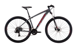 BIC OGGI 29 HACKER SPORT 21V GRAF/VRM/PTO T19