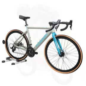 BIC TOSEEK 700 CHESTER 3.0 16V CINZ/VD L