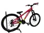 Bicicleta Aro 26 Vikingx TUFF X25 Rosa/Verde